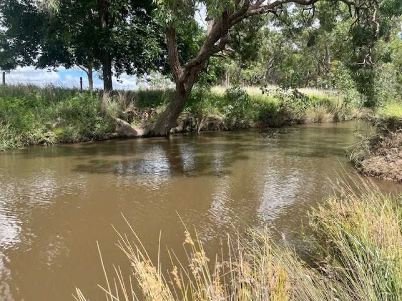 Proposed Lot 3 Cactus Ridge Rd, Cunningham, QLD 4370