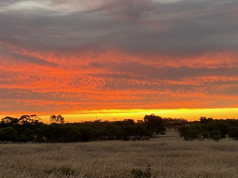 Lot 285 Flinders Hwy, Streaky Bay, SA 5680