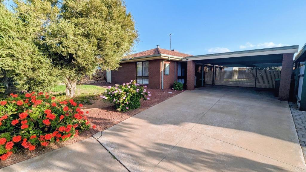 229 Twelfth St, Mildura, VIC 3500