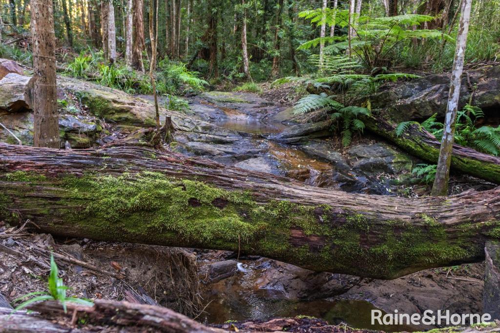 138 Tallgum Ave, Doonan, QLD 4562