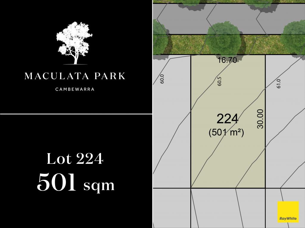 Lot 224 Taylors Lane, Badagarang, NSW 2540