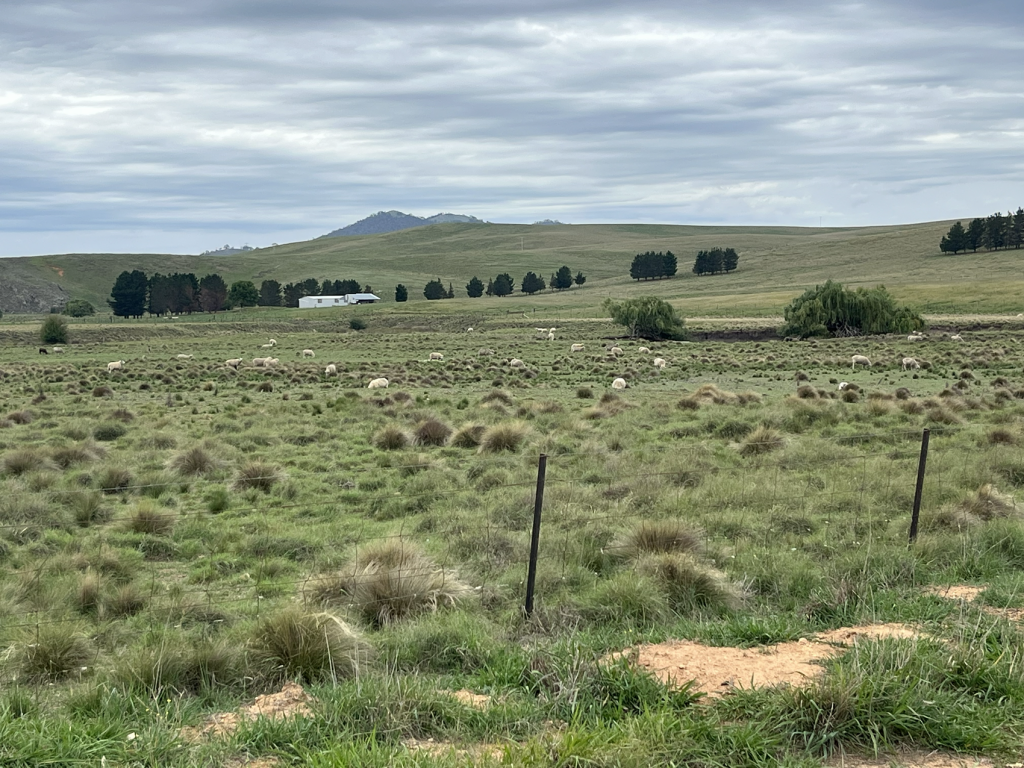 25 Karinya Plains Rd, Michelago, NSW 2620
