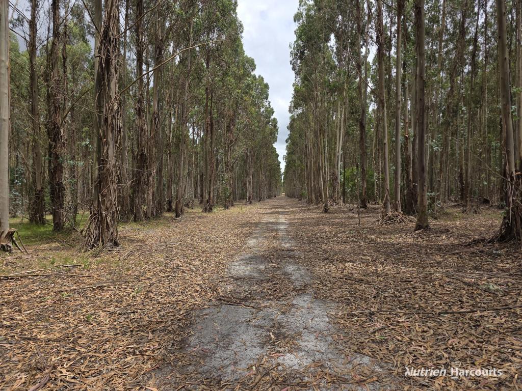 142 Mindijup Rd, Palmdale, WA 6328