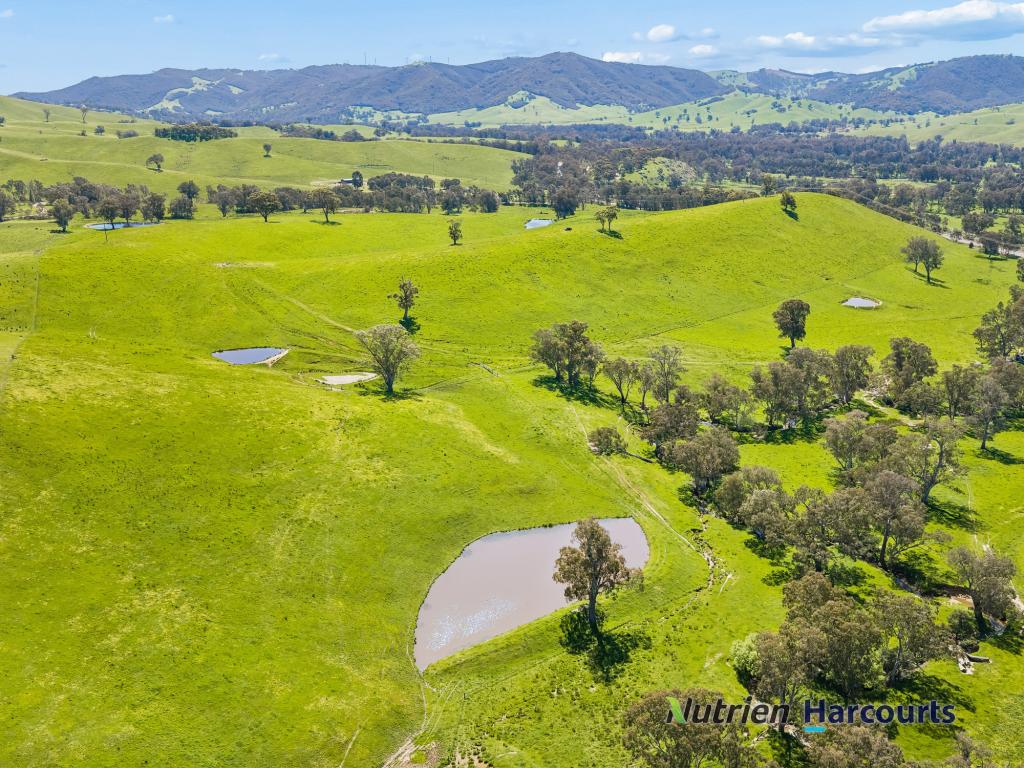 61 Guymers Rd, Homewood, VIC 3717