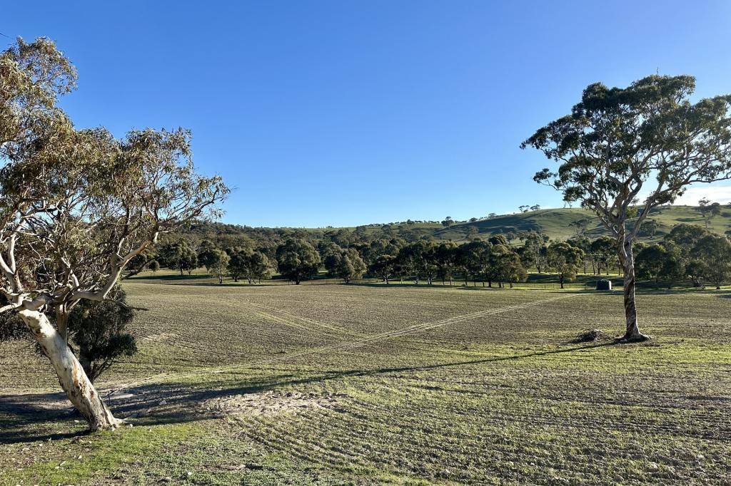 Lot 50 Fendlers Rd, Tungkillo, SA 5236