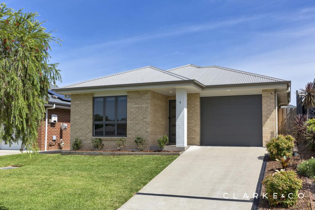 1/44 Dunnart St, Aberglasslyn, NSW 2320