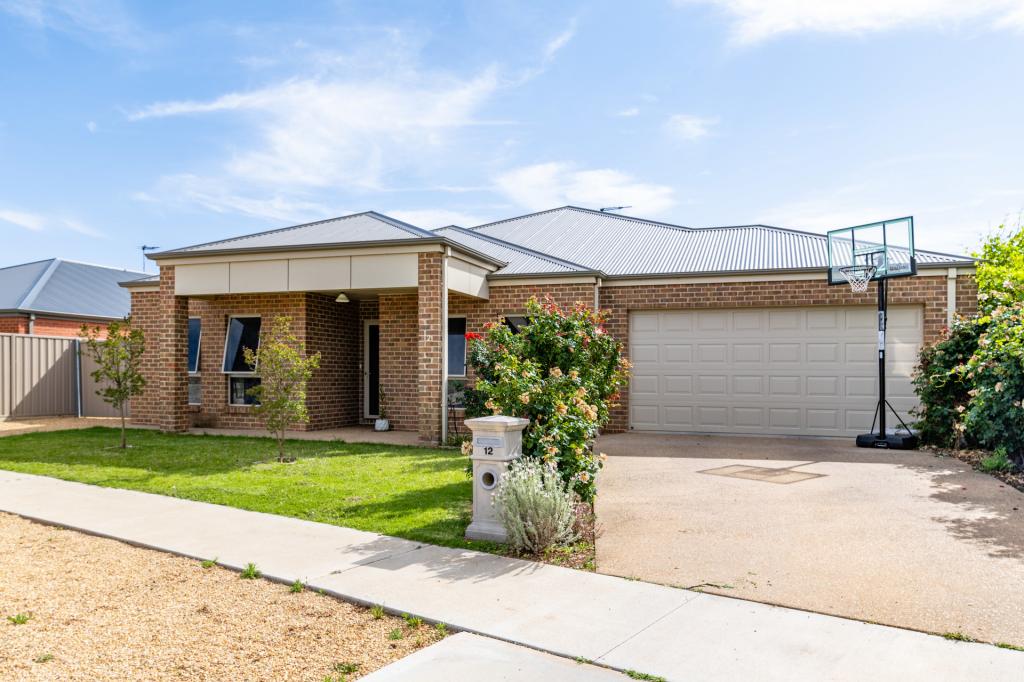 12 Central Park Dr, Mildura, VIC 3500