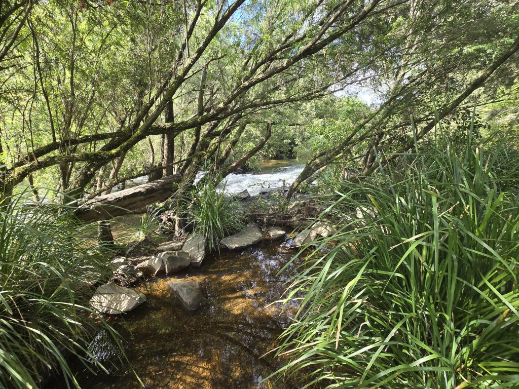 52 Greenhills Rd, Upper Taylors Arm, NSW 2447