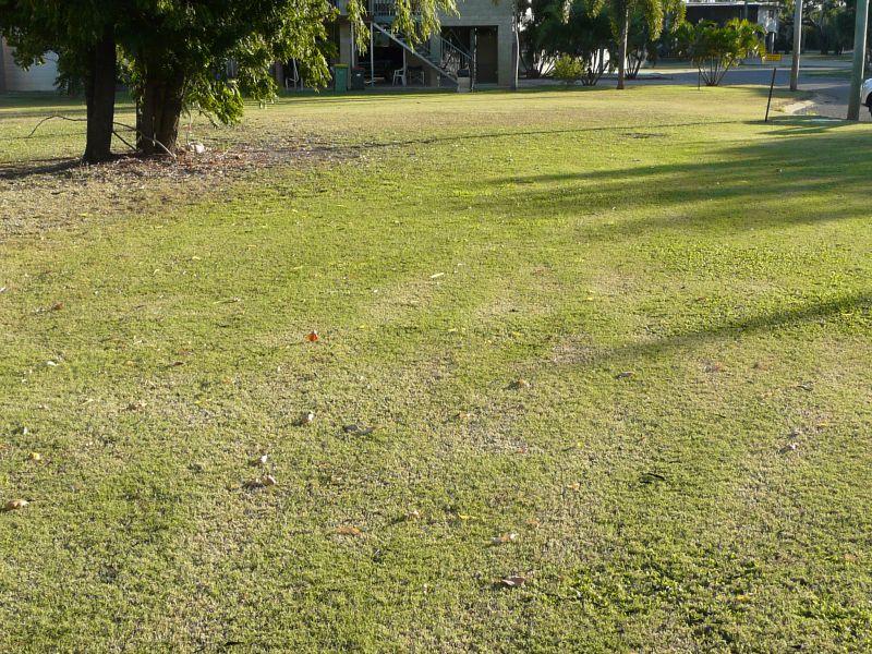 15 GLANVILLE CT, GROPER CREEK, QLD 4806