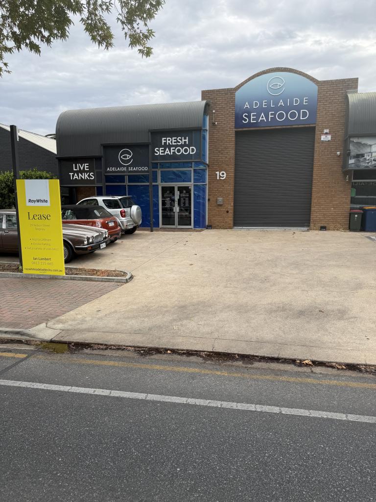 19 NELSON ST, STEPNEY, SA 5069