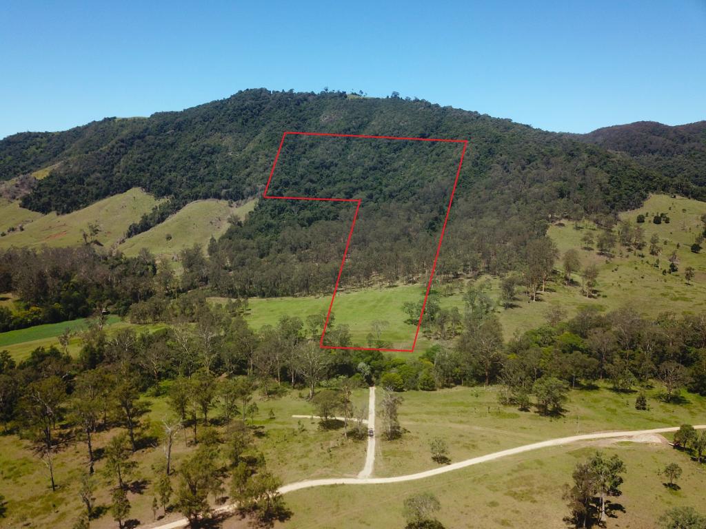 LOT 131 BUNNOO RIVER RD, ELLENBOROUGH, NSW 2446