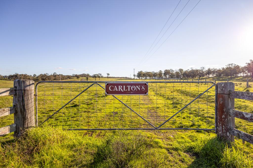 3949 Clarence Town Rd, Dungog, NSW 2420