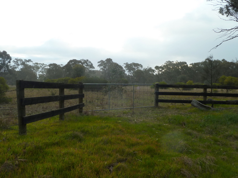 Lot 50 Wedderburn Junction East-Fiery Flat Road, Wedderburn, VIC 3518