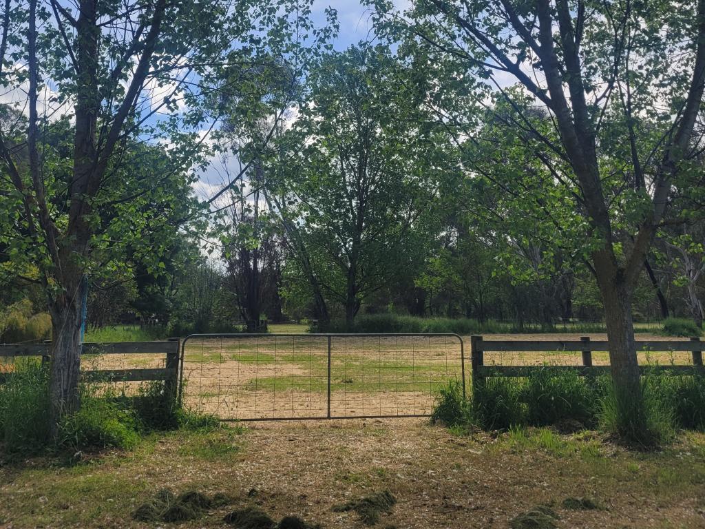 5 Rowe St, Mansfield, VIC 3722