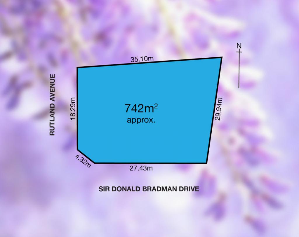 564 Sir Donald Bradman Dr, Lockleys, SA 5032