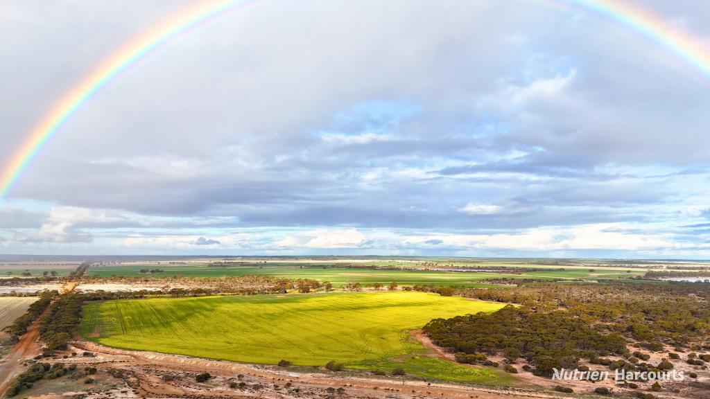 Lots 19295 & 27431 Soldiers Rd, Wadderin, WA 6369