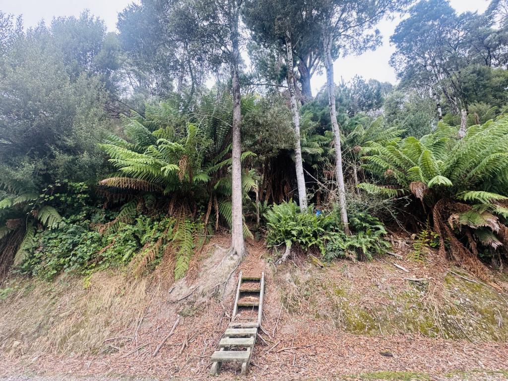33 Solly St, Zeehan, TAS 7469