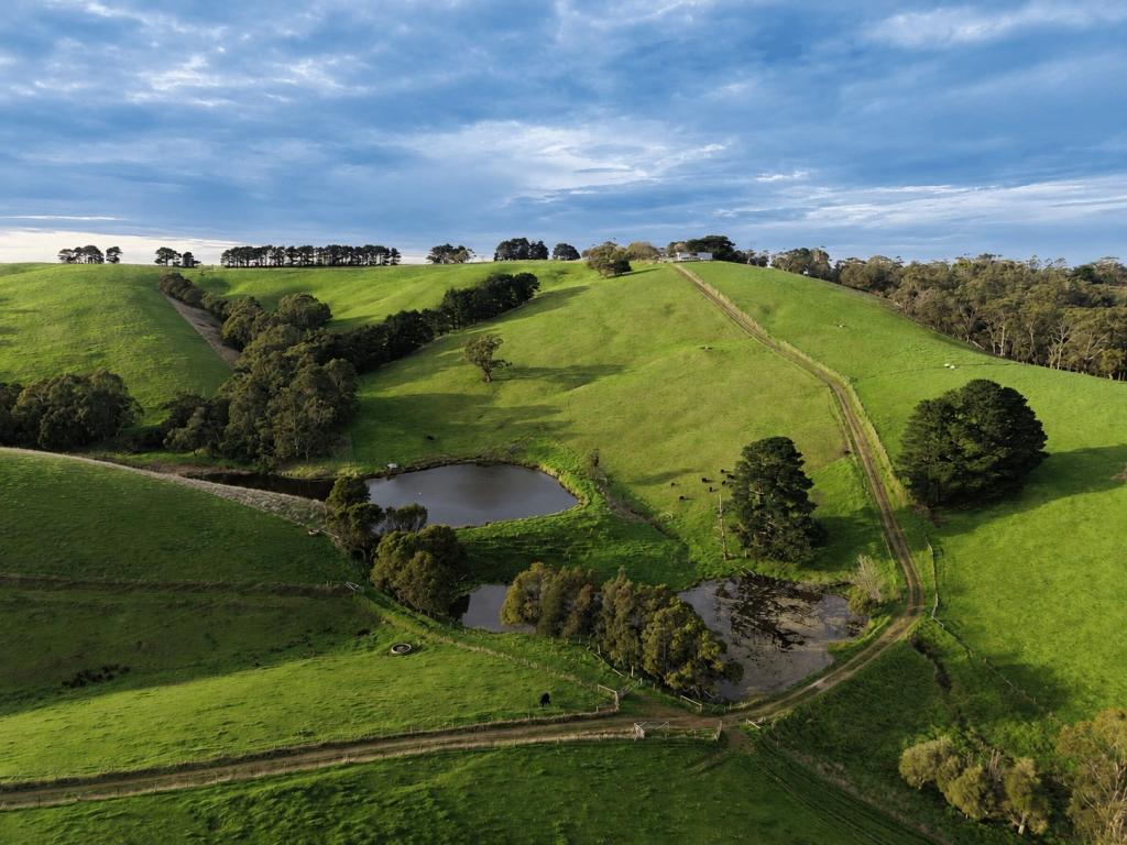 255 Buffalo North Rd, Buffalo, VIC 3958
