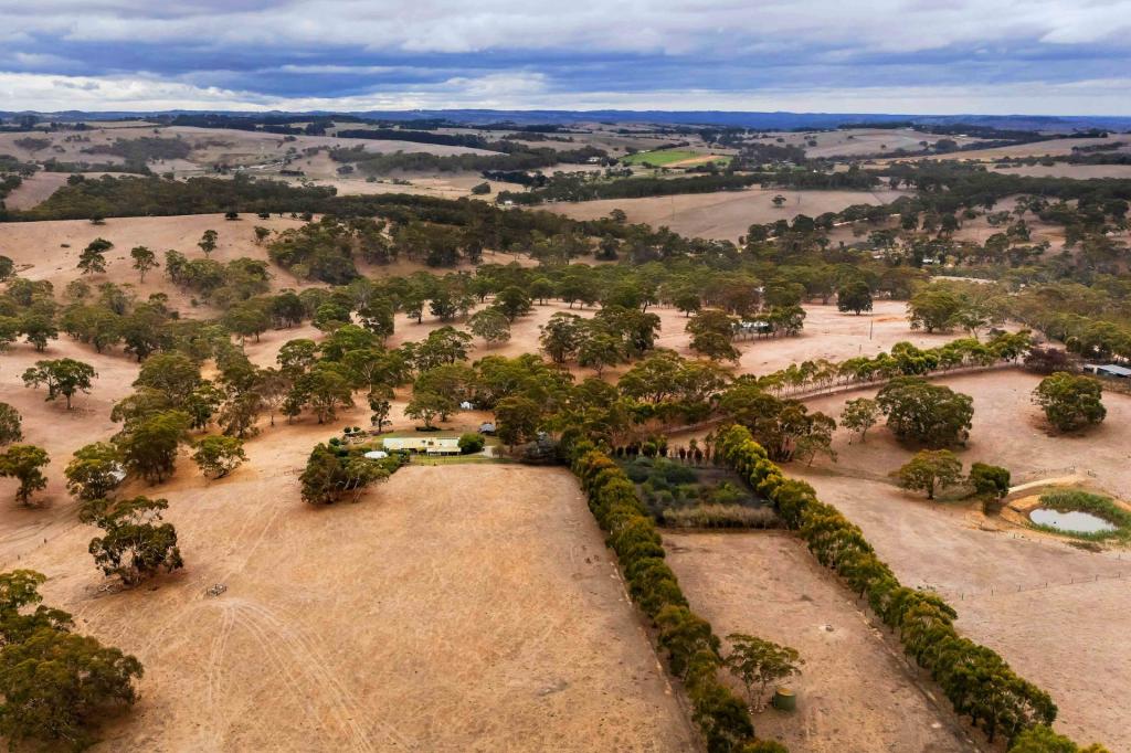 499 Mosquito Hill Rd, Mosquito Hill, SA 5214