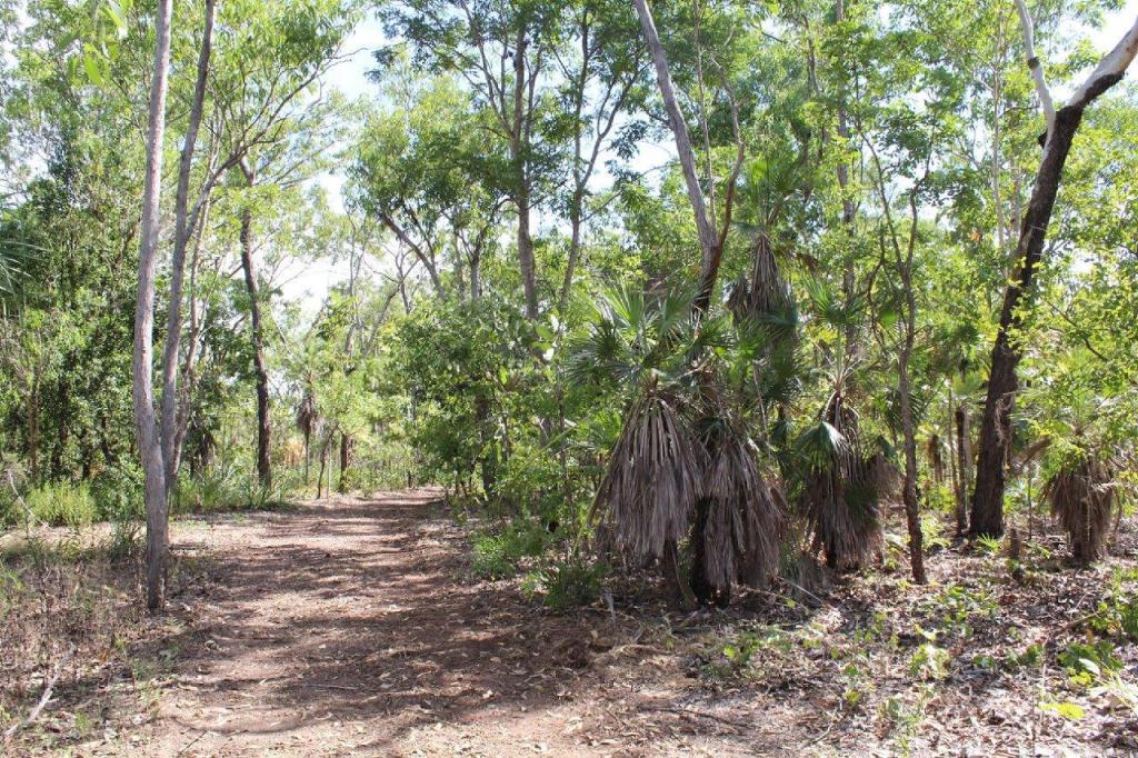 1485 Leonino Rd, Darwin River, NT 0841