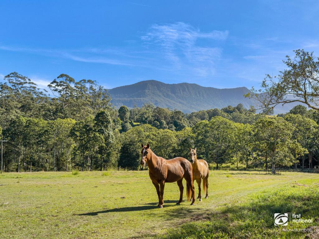 3537 Kyogle Rd, Mount Burrell, NSW 2484