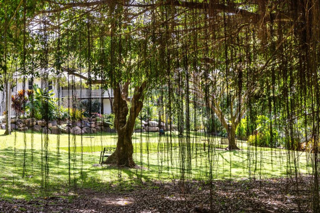43 Regency Rd, Doonan, QLD 4562