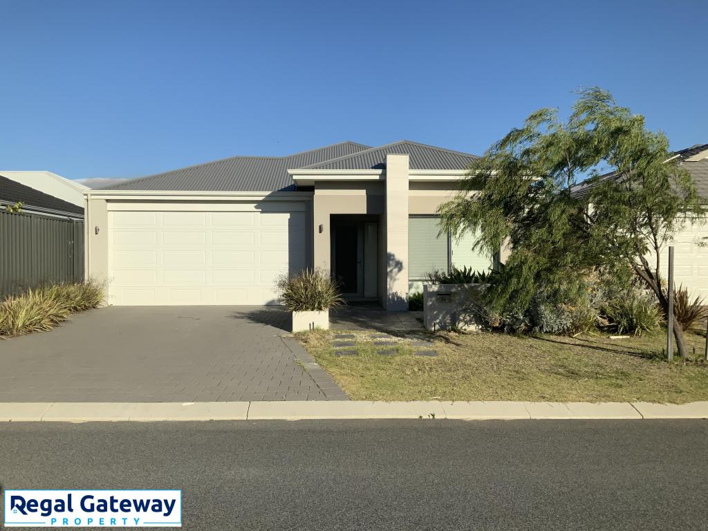 14 Chicory St, Treeby, WA 6164