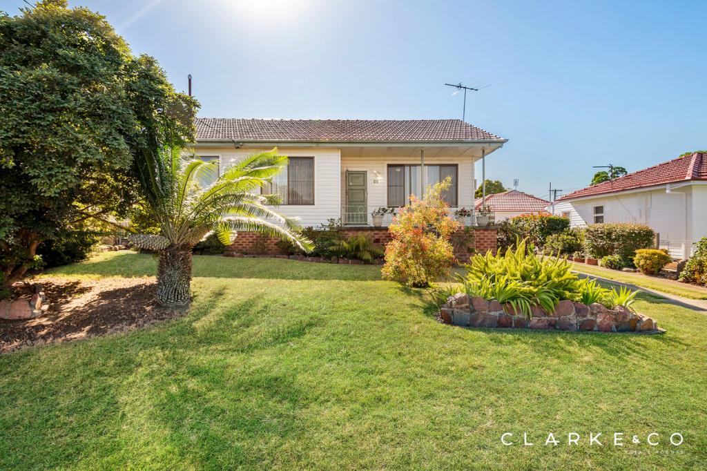 20 JOAN ST, RUTHERFORD, NSW 2320