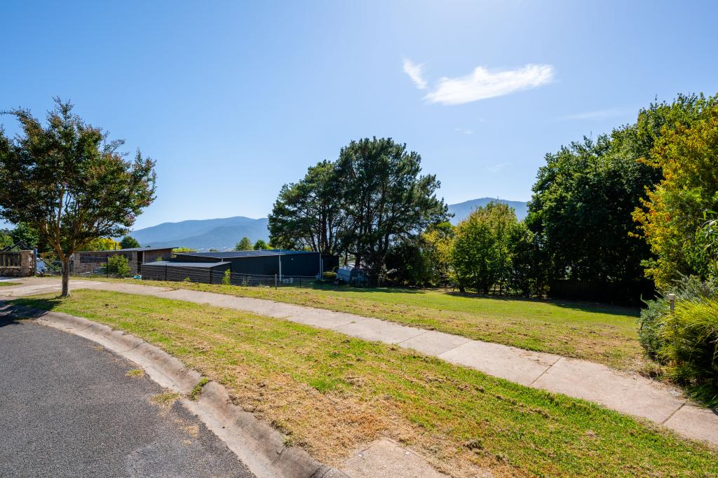 16 Fiddleback Dr, Tawonga South, VIC 3698