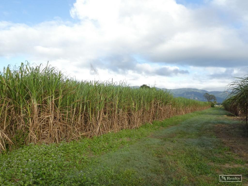 Contact agent for address, MIDGENOO, QLD 4854