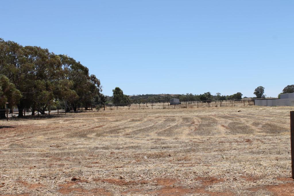Lot 873 Victoria St, Peterborough, SA 5422