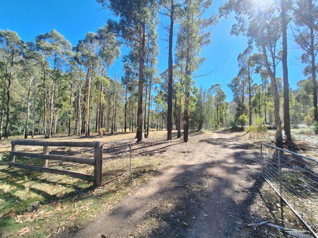 141 Young St, Mangana, TAS 7214