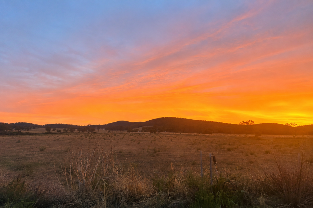 83 Renshaw Mcgirr Way, Suntop, NSW 2820