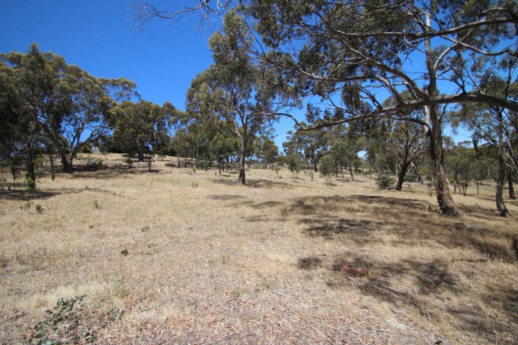 Lot 44 Norman Dr, Stanley Flat, SA 5453