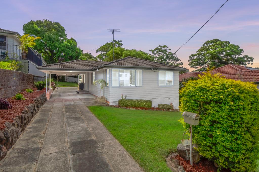 19 Roath St, Cardiff, NSW 2285