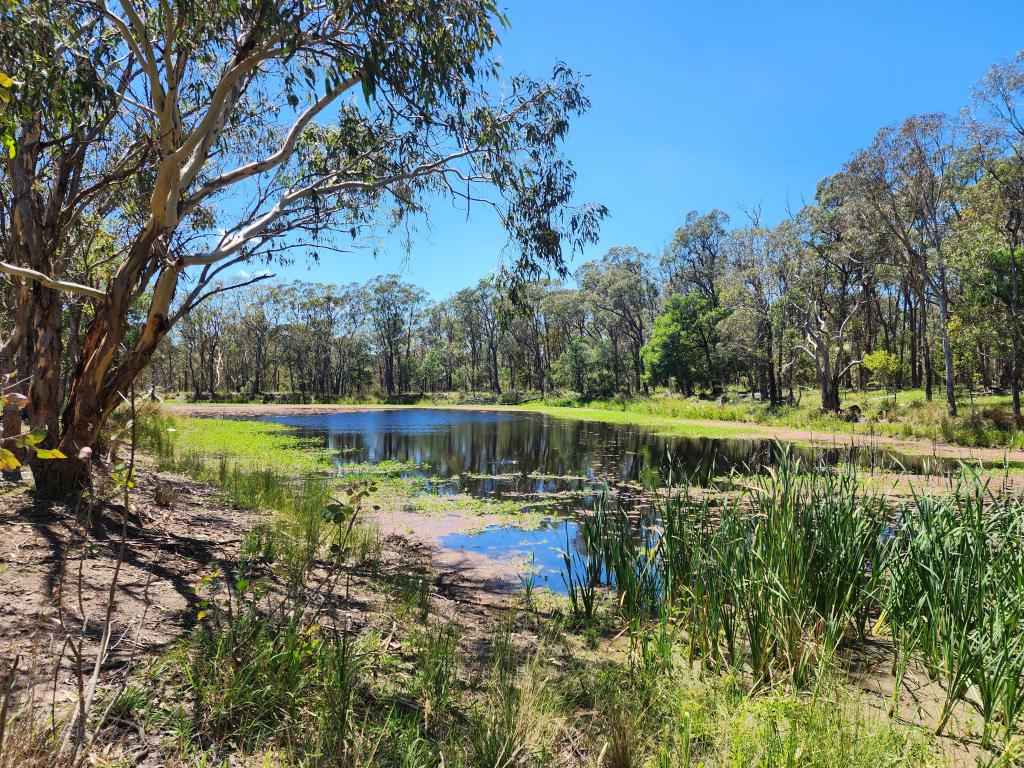 29 BARDINI LANE, FLEURBAIX, QLD 4375