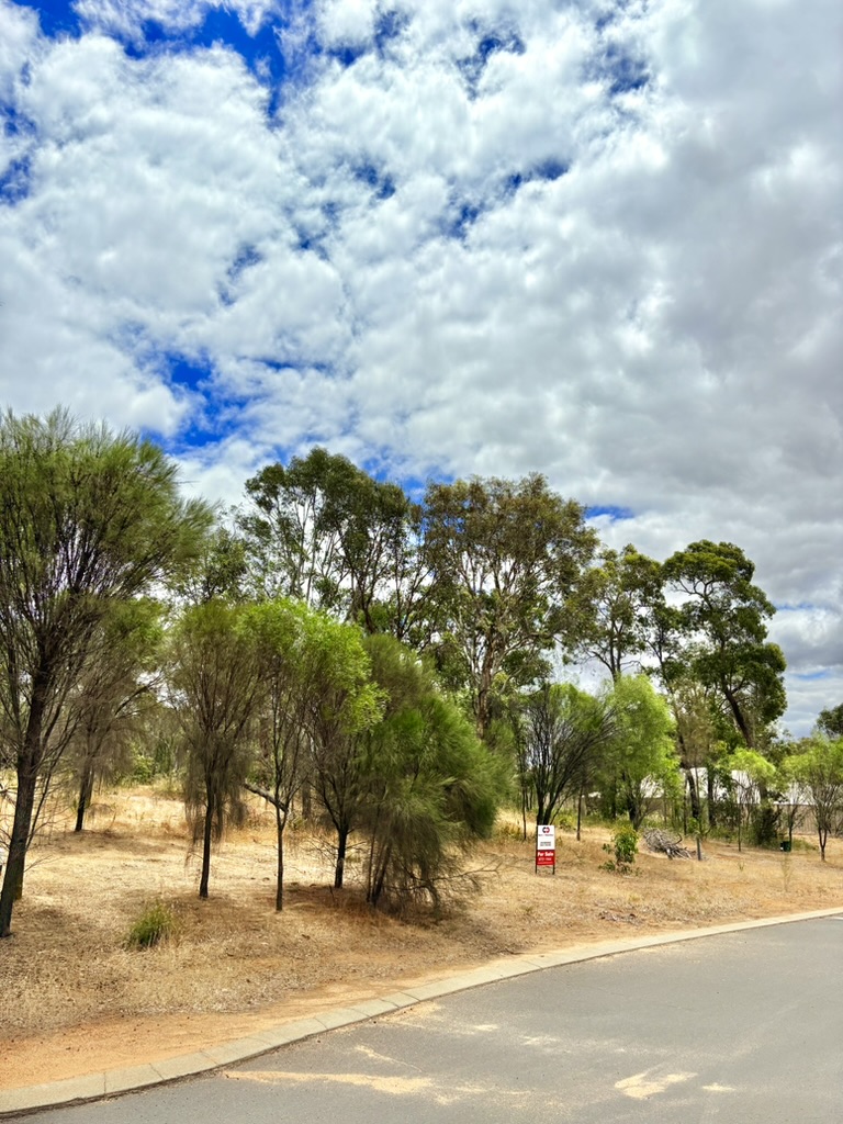 15 King St, Darkan, WA 6392