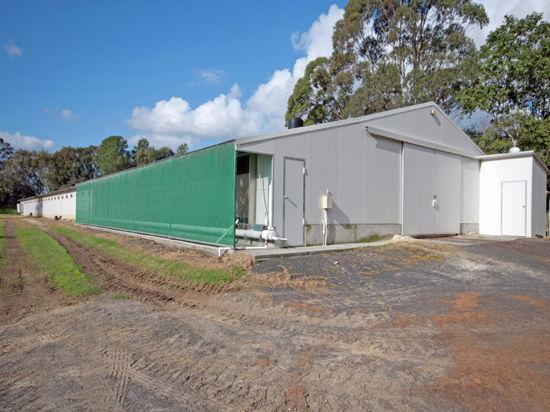 1692 Wisemans Ferry Rd, Central Mangrove, NSW 2250