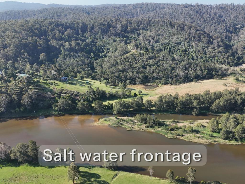 732 Reedy Swamp Rd, Reedy Swamp, NSW 2550