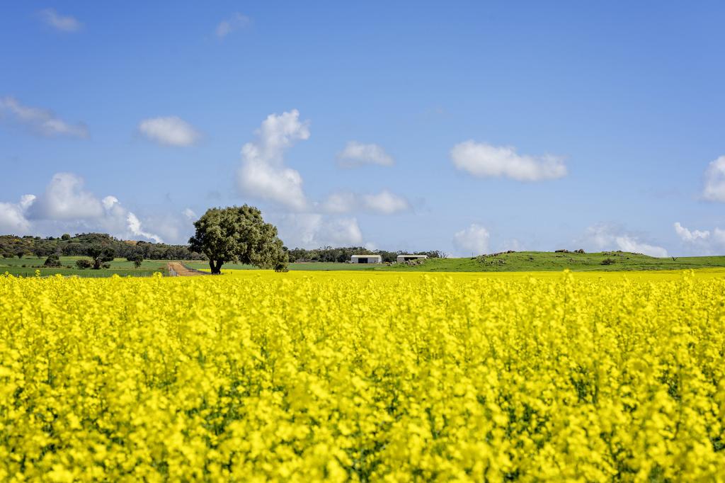 829 Nabawa Northampton Rd, Hickety, WA 6532