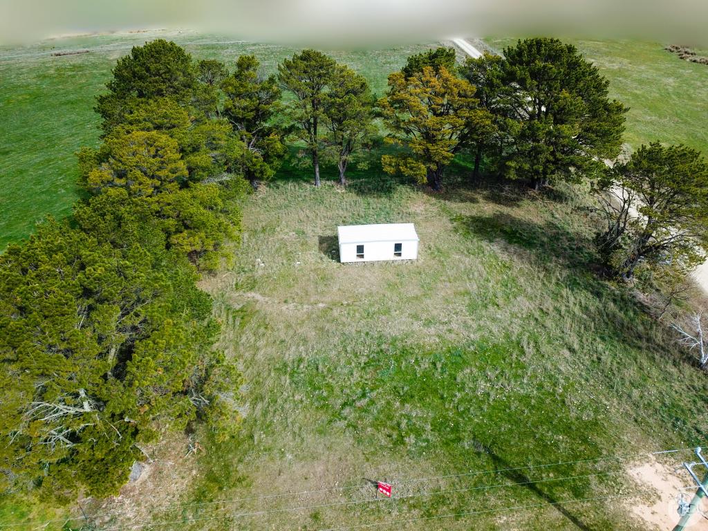 46 Mannus Creek Rd, Mannus, NSW 2653