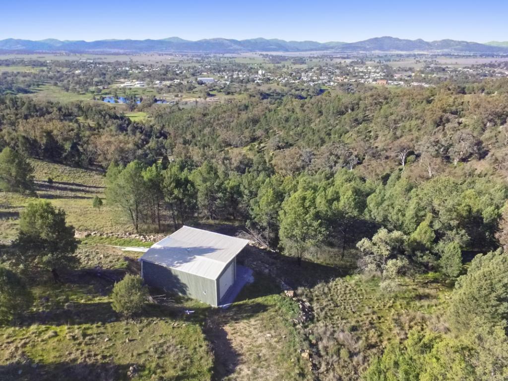 58 Ray Carter Dr, Quirindi, NSW 2343