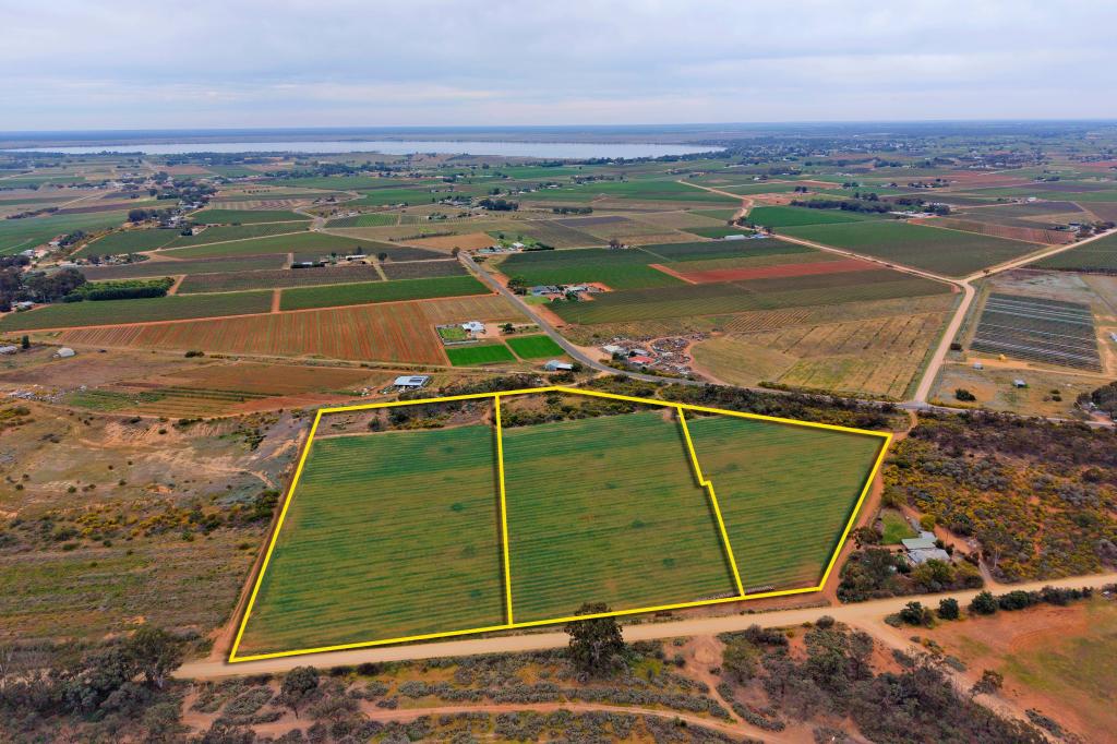 Sec 236, 730 & 731 Schell Rd, Loveday, SA 5345