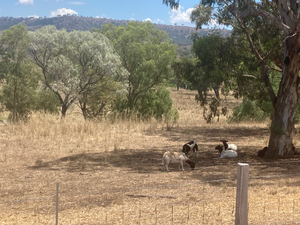  HIGH ST, BUNNAN, NSW 2337