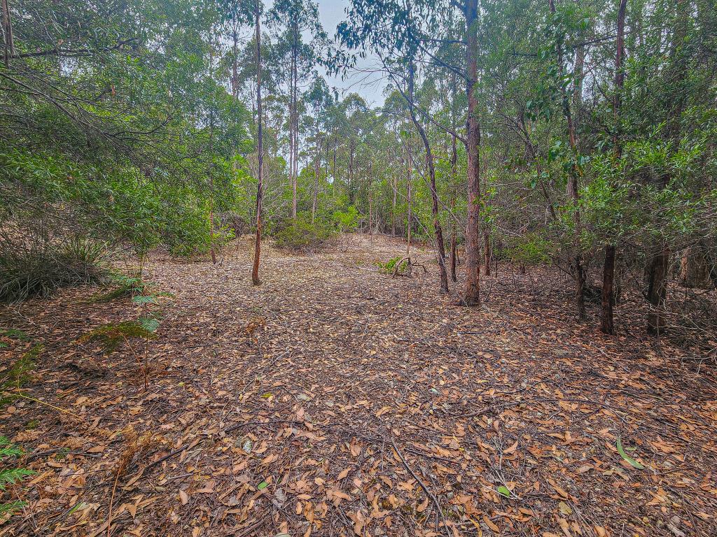 Lot 1 Link Rd, Lonnavale, TAS 7109