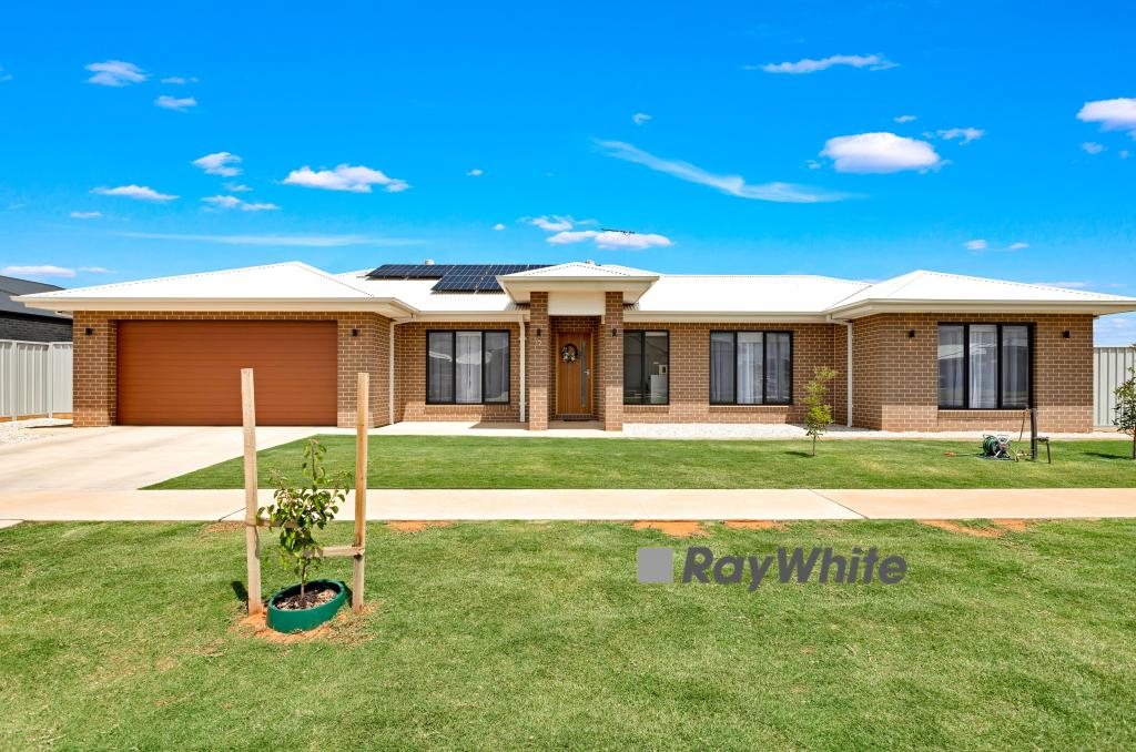 17 Bologna Ave, Irymple, VIC 3498