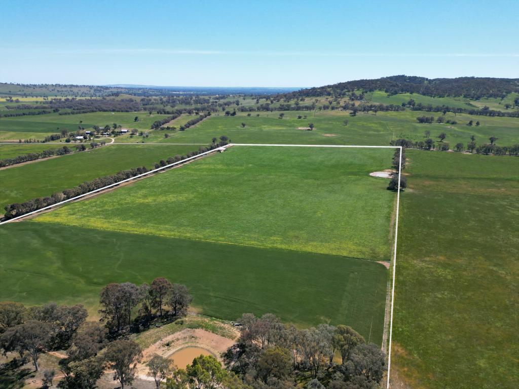 798 Bethel Rd, Glenellen, NSW 2642