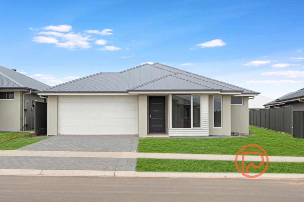16 Knappstein Ave, Roseworthy, SA 5371