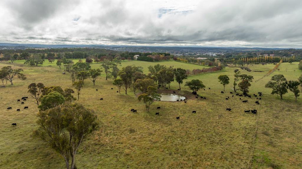 261-335 Bundarra Rd, Armidale, NSW 2350