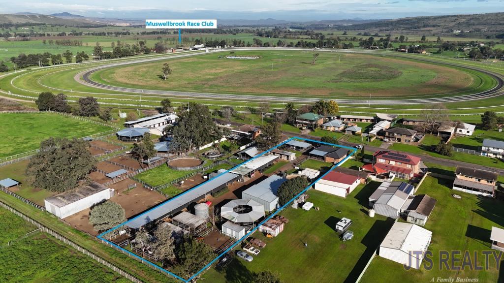 8 Sheppard Ave, Muswellbrook, NSW 2333